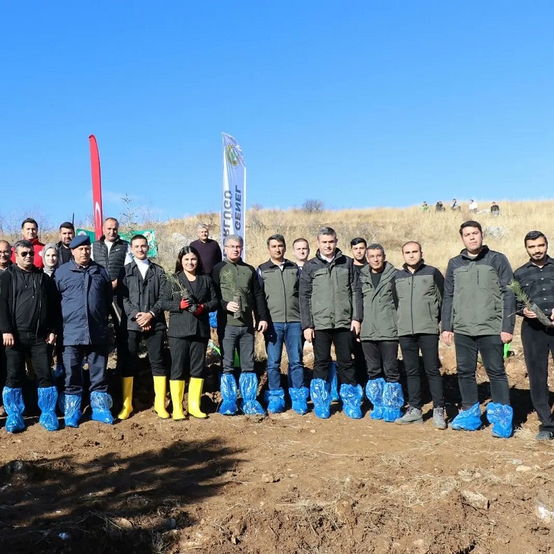 İlçemize Orman Alanı için İlk Fidan Dikimi Yapıldı